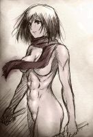 attack_on_titan_-_mikasa_20130914_022.jpg